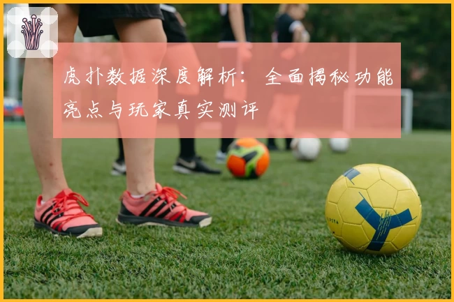 虎扑数据深度解析：全面揭秘功能亮点与玩家真实测评