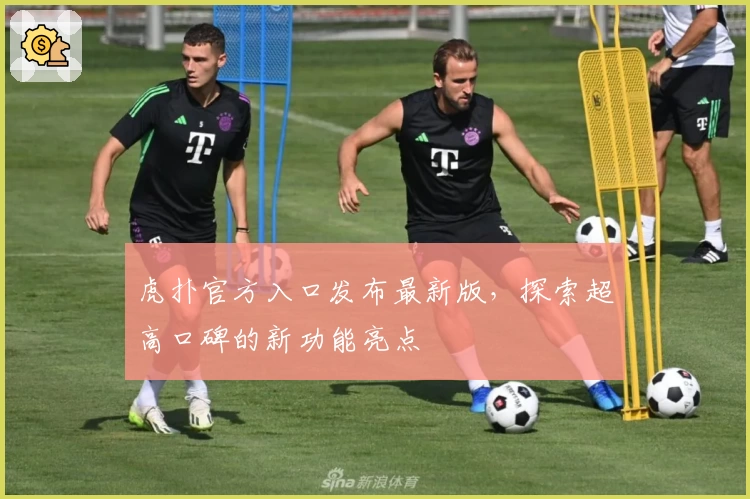 虎扑官方入口发布最新版，探索超高口碑的新功能亮点